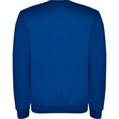 Džemperis vyrams, mėlynas kaina ir informacija | Džemperiai vyrams | pigu.lt