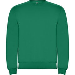 Džemperis vyrams, žalias kaina ir informacija | Džemperiai vyrams | pigu.lt