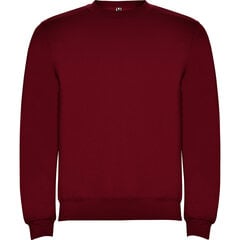Džemperis vyrams, raudonas kaina ir informacija | Džemperiai vyrams | pigu.lt