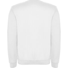 Мужской свитер Antony Morato, белый цена и информация | Мужские толстовки | pigu.lt
