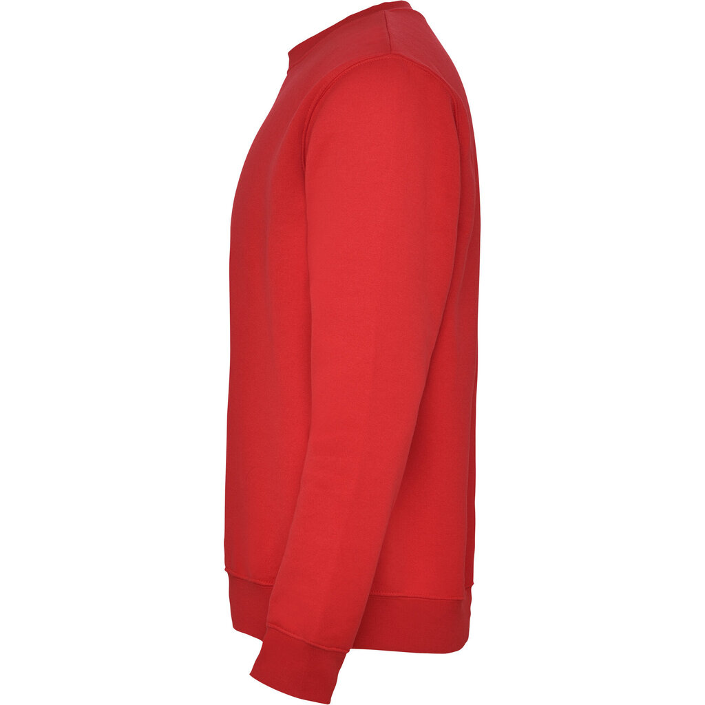 Džemperis vyrams, raudonas цена и информация | Džemperiai vyrams | pigu.lt