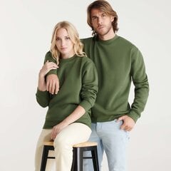 Džemperis vyrams, žalias kaina ir informacija | Džemperiai vyrams | pigu.lt