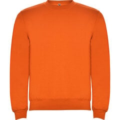 Džemperis vyrams, oranžinis kaina ir informacija | Džemperiai vyrams | pigu.lt
