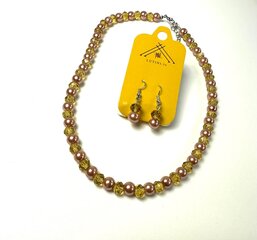 Комплект Ожерелье и серьги цена и информация | Украшения на шею | pigu.lt
