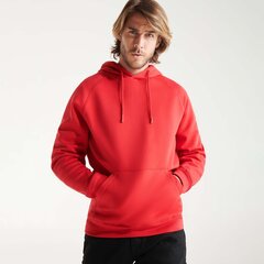 Džemperis vyrams, raudonas kaina ir informacija | Džemperiai vyrams | pigu.lt