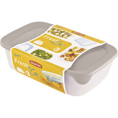 Набор пищевых контейнеров прямоугольник 2+1+0.5 л FreshGo mix, 4 шт. цена и информация | Посуда для хранения еды | pigu.lt