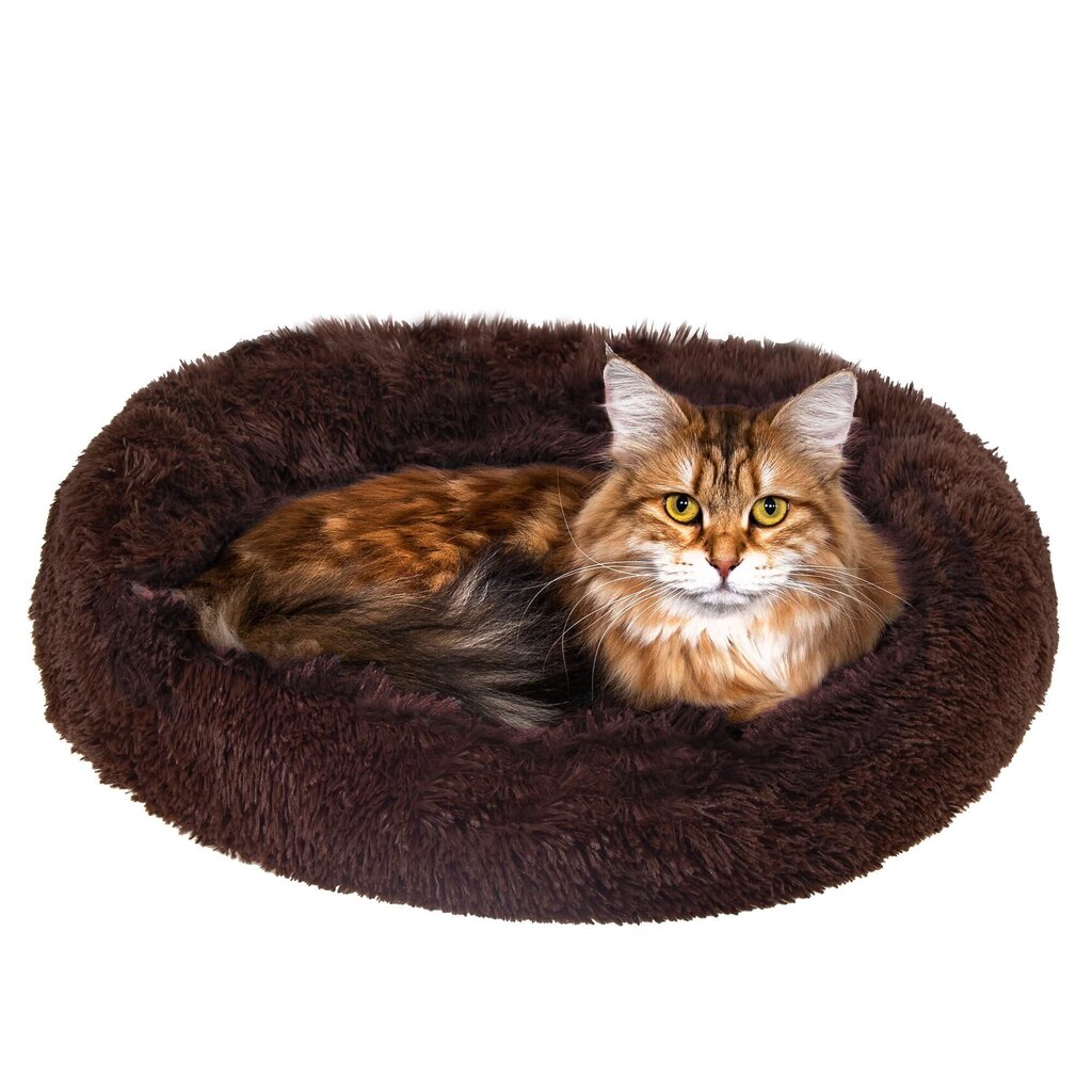 Kačių lova Springos PA0139 40 cm kaina ir informacija | Guoliai, pagalvėlės | pigu.lt