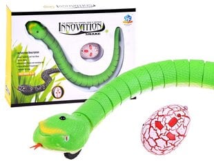Nuotoliniu būdu valdoma gyvatė, žalia kaina ir informacija | Žaislai berniukams | pigu.lt