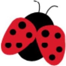 Avalynės aksesuaras Crocs™ Crocs Lil Ladybug G0881200-MU, raudonas цена и информация | Детские резиновые сабо | pigu.lt