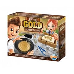Rinkinys tyrinėjimui "Iškask, išplauk aukso luitą" цена и информация | Развивающие игрушки | pigu.lt