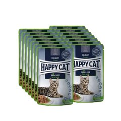 Happy Cat katėms su ėriena Culinary, 12x85 g цена и информация | Консервы для кошек | pigu.lt