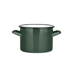 POT 5,8L ,22CM X,16CM ROHELINE цена и информация | Кастрюли, скороварки | pigu.lt