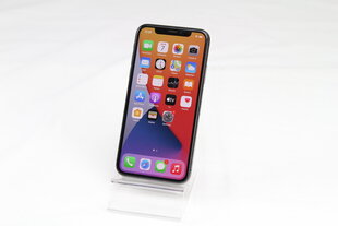 iPhone X, 64GB, Space Gray kaina ir informacija | Mobilieji telefonai | pigu.lt