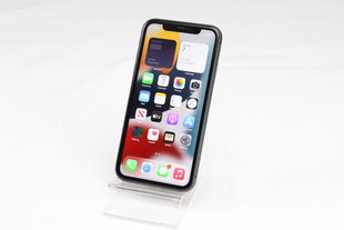 iPhone 11 64GB Black (atnaujintas, būklė A) kaina ir informacija | Mobilieji telefonai | pigu.lt