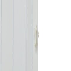 Дверь складная 001P-014-80 белая матовая 80 см цена и информация | Двери со стеклом LIRA, дуб сицилия, ЭКО шпон | pigu.lt
