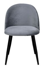 Комплект из 4 стульев, серый цена и информация | Стулья для кухни и столовой | pigu.lt