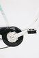 Triratis dviratis Corelli Kanguroo 24", baltai/žalias цена и информация | Dviračiai | pigu.lt