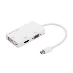 Адаптер Vivanco Mini DisplayPort, 0.1 м цена и информация | Адаптеры, USB-разветвители | pigu.lt