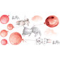Interjero lipdukas - Kiškiai ir raudoni balionai kaina ir informacija | Interjero lipdukai | pigu.lt
