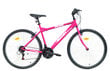 Kalnų dviratis Botteri Milano 26", rožinis kaina ir informacija | Dviračiai | pigu.lt