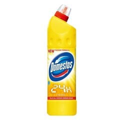 Domestos WC valiklis Citrus, 750 ml kaina ir informacija | Domestos Virtuvės, buities, apyvokos prekės | pigu.lt