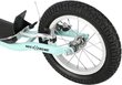 Paspirtukas Nils Extreme WH238, 16/12'' , mint kaina ir informacija | Paspirtukai | pigu.lt