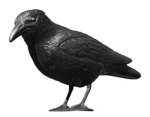 Varnas - paukščių atbaidymui kaina ir informacija | Sodo dekoracijos | pigu.lt