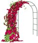 Metalinė sodo arka gėlėms DecorStar, 240cm kaina ir informacija | Sodo įrankiai | pigu.lt