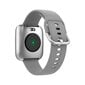 Forever ForeVigo 2 SW-310 Silver kaina ir informacija | Išmanieji laikrodžiai (smartwatch) | pigu.lt