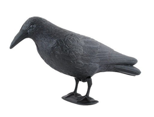 Dekoratyvinė varna baidyti paukščiams kaina ir informacija | Sodo dekoracijos | pigu.lt