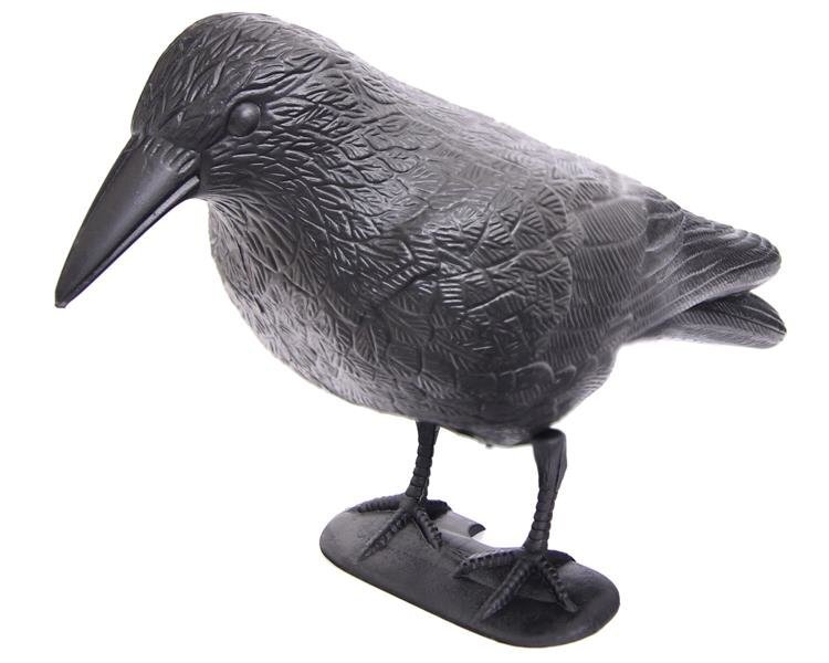 Dekoratyvinė varna baidyti paukščiams kaina ir informacija | Sodo dekoracijos | pigu.lt