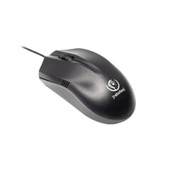 Rebeltec optical mouse USB 1,8m Wolf цена и информация | Мыши | pigu.lt