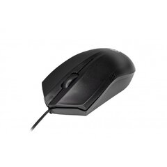 Rebeltec optical mouse USB 1,8m Wolf цена и информация | Rebeltec Компьютерная техника | pigu.lt