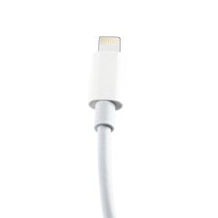 Maxlife Mxuc-05 cable USB-C - Lightning, 1 m kaina ir informacija | Laidai telefonams | pigu.lt