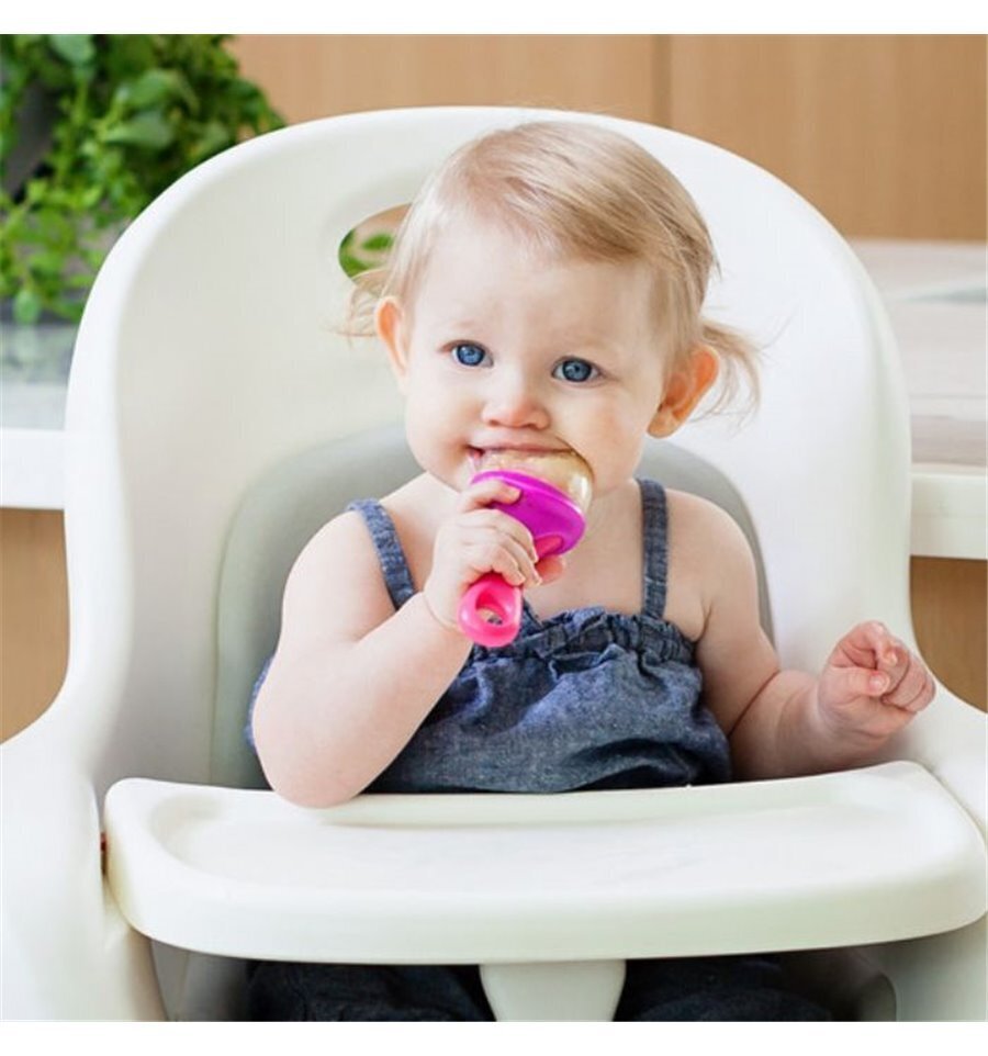 Silikoninis vaisių tyrelės čiulptukas, 6 mėn.+, rožinės spalvos kaina ir informacija | Kūdikių indai, indeliai pienui ir įrankiai | pigu.lt