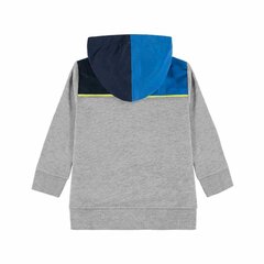Толстовка-пуловер для мальчиков, Tom Tailor  цена и информация | Tom Tailor Одежда для мальчиков | pigu.lt