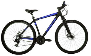 Kalnų dviratis 29" MTB MAN/BLACK/BLUE 8001446121702 HOGAN kaina ir informacija | Dviračiai | pigu.lt