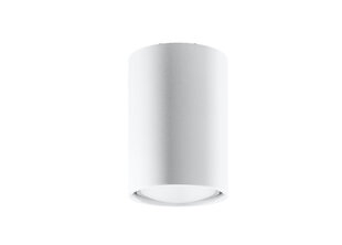 Потолочный светильник Sollux Lagos, белый, 10 см цена и информация | Потолочные светильники | pigu.lt