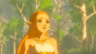 The Legend of Zelda: Breath of the Wild, Nintendo Switch kaina ir informacija | Kompiuteriniai žaidimai | pigu.lt