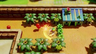 The Legend of Zelda Link's Awakening, Nintendo Switch цена и информация | Компьютерные игры | pigu.lt