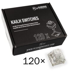 Glorious PC Gaming Race Kailh Box White Tactile & Clicky 120 vnt kaina ir informacija | Klaviatūros | pigu.lt