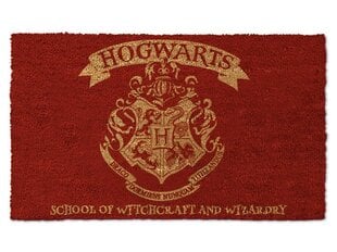 Harry Potter Welcome to Hogwarts kaina ir informacija | Žaidėjų atributika | pigu.lt