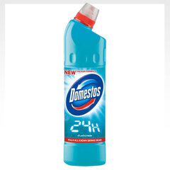 WC valiklis DOMESTOS Atlantic, 750 ml kaina ir informacija | Domestos Virtuvės, buities, apyvokos prekės | pigu.lt