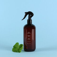 Ароматизированная вода для глажки Carbaline Camellia & Grapefruit, 500мл цена и информация | Средства для стирки | pigu.lt