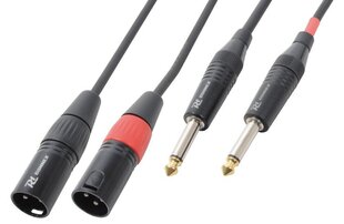 PD-Connex Кабель CX64-3 2xXLR Male-2x6,3 Mono 3,0 м цена и информация | Кабели и провода | pigu.lt