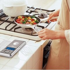 Juvelyrinės mini svarstyklės 500g - 0,1g. kaina ir informacija | Svarstyklės (virtuvinės) | pigu.lt