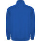Vyriškas megztinis Aneto, mėlynas kaina ir informacija | Megztiniai vyrams | pigu.lt