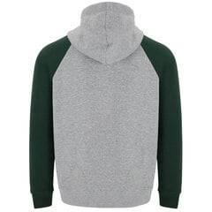 Мужской джемпер Badet серо-зеленый цена и информация | Мужские свитера | pigu.lt