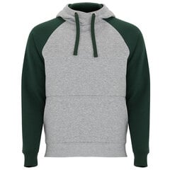 Мужской джемпер Badet серо-зеленый цена и информация | Мужские свитера | pigu.lt