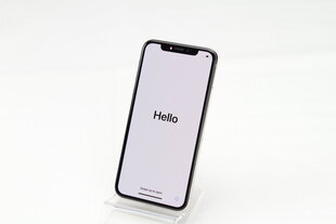 iPhone X 64GB Silver (atnaujintas, būklė A) kaina ir informacija | Mobilieji telefonai | pigu.lt